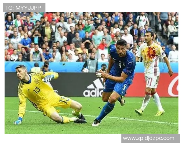 上海排球队在欧锦赛中的崛起与成长历程全景回顾