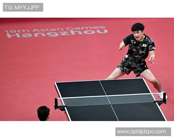 上海网球队防守反击策略分析及其在比赛中的成效与不足