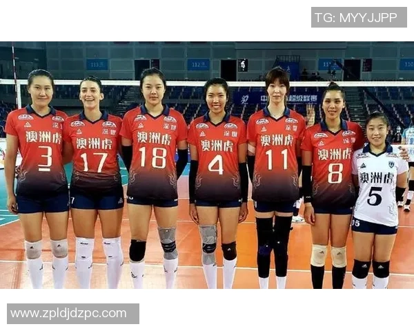 深圳排球队实力之争引发热议球迷观点各异分析深入